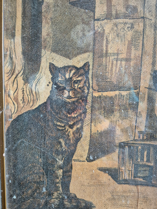 Europäische Schule 20. Jhrd. Farbradierung Katze im Haus 25x32.5 cm