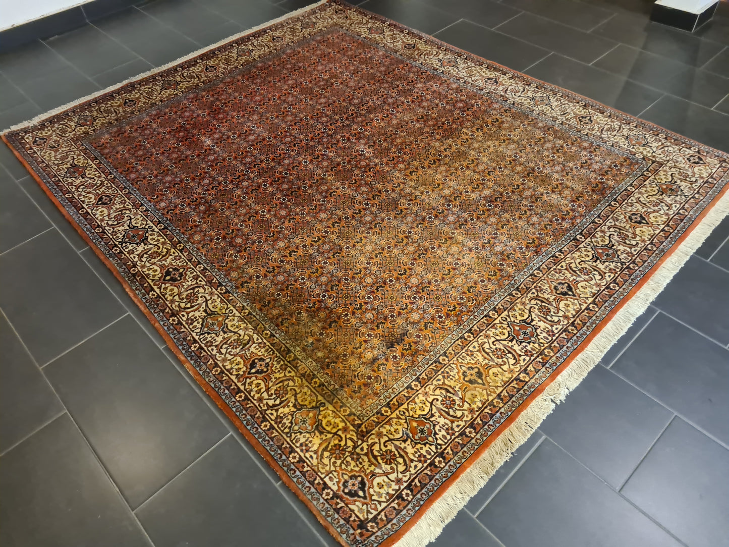 Perserteppich Orientteppich Handgeknüpfter Teppich Bidjar fein 250x211cm