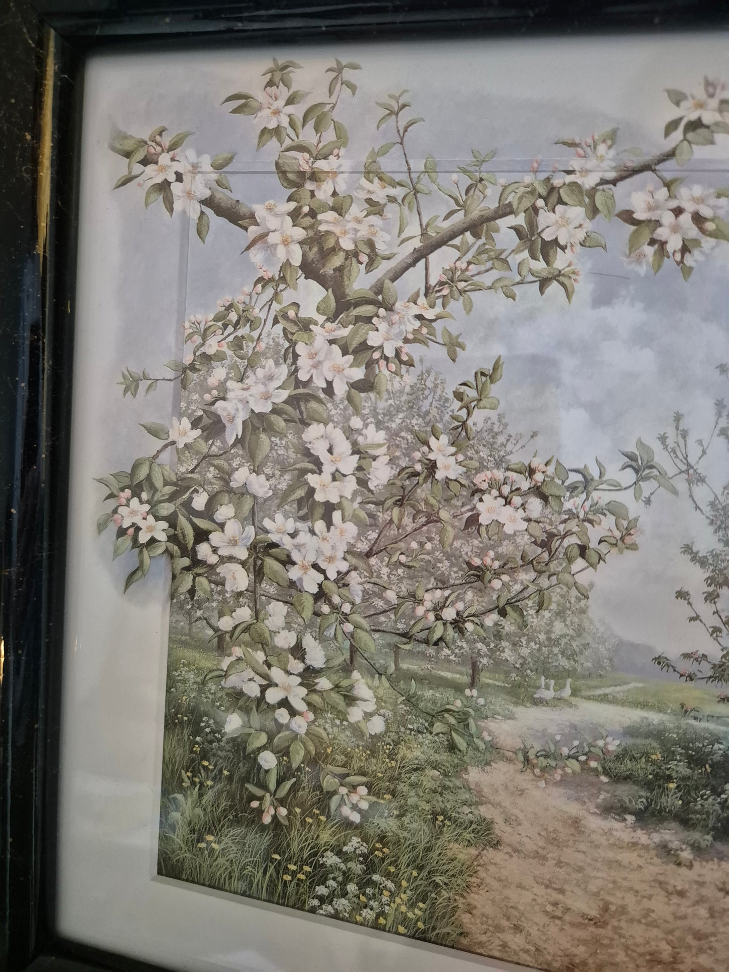 Hochwertiger Kunstdruck Landschaftsidylle Sommerlandschaft