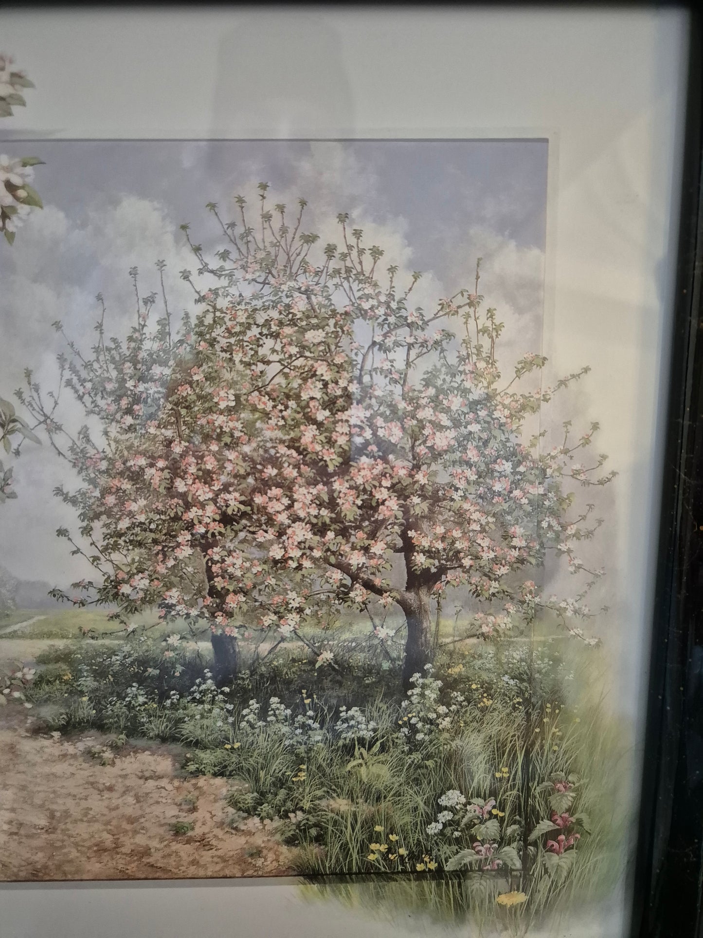 Hochwertiger Kunstdruck Landschaftsidylle Sommerlandschaft