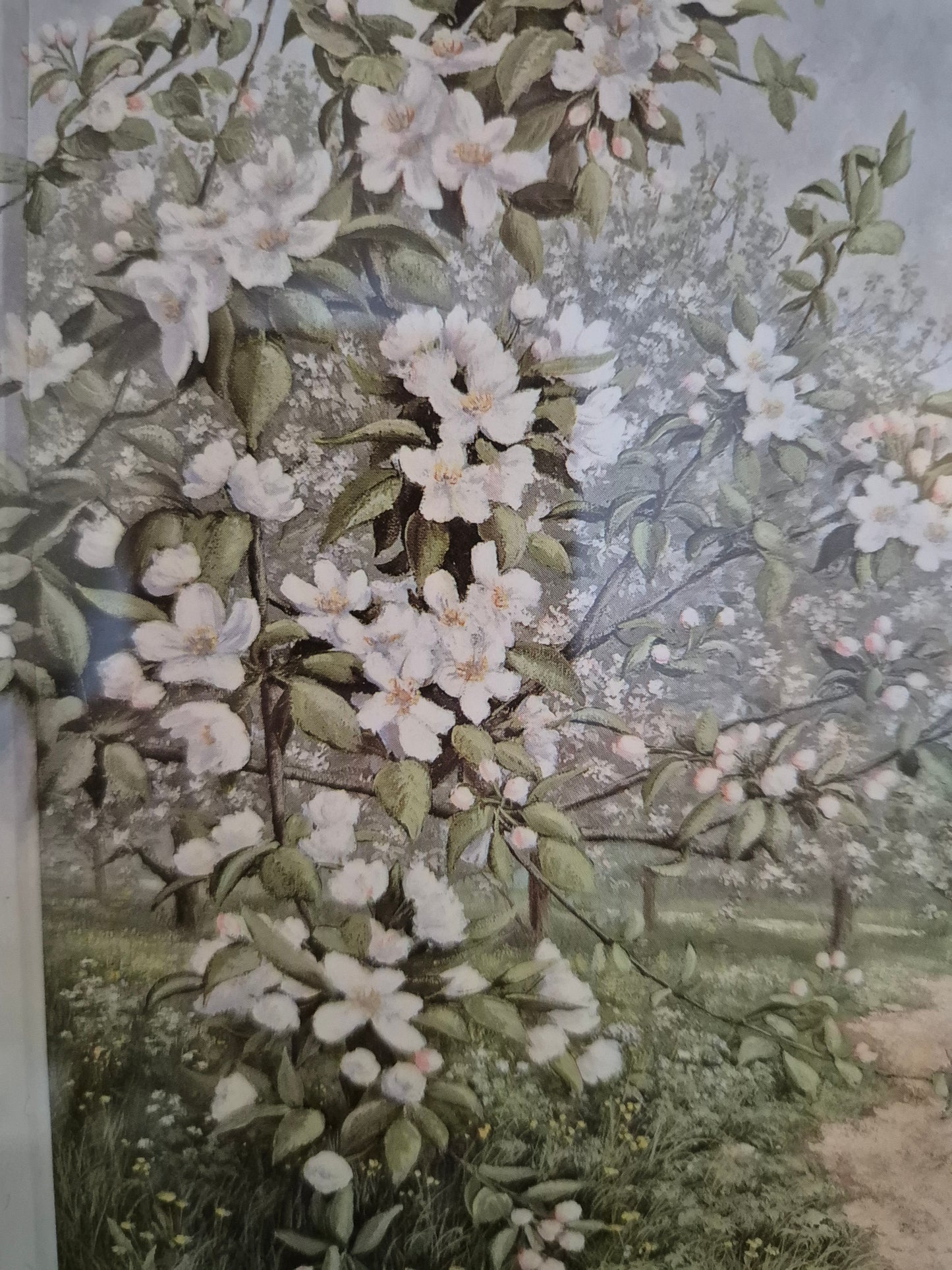 Hochwertiger Kunstdruck Landschaftsidylle Sommerlandschaft