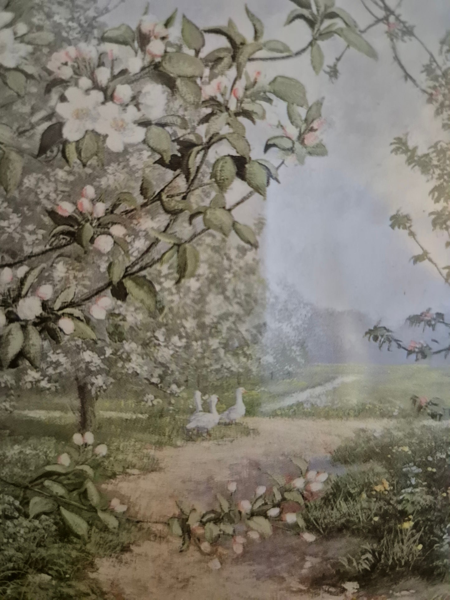 Hochwertiger Kunstdruck Landschaftsidylle Sommerlandschaft