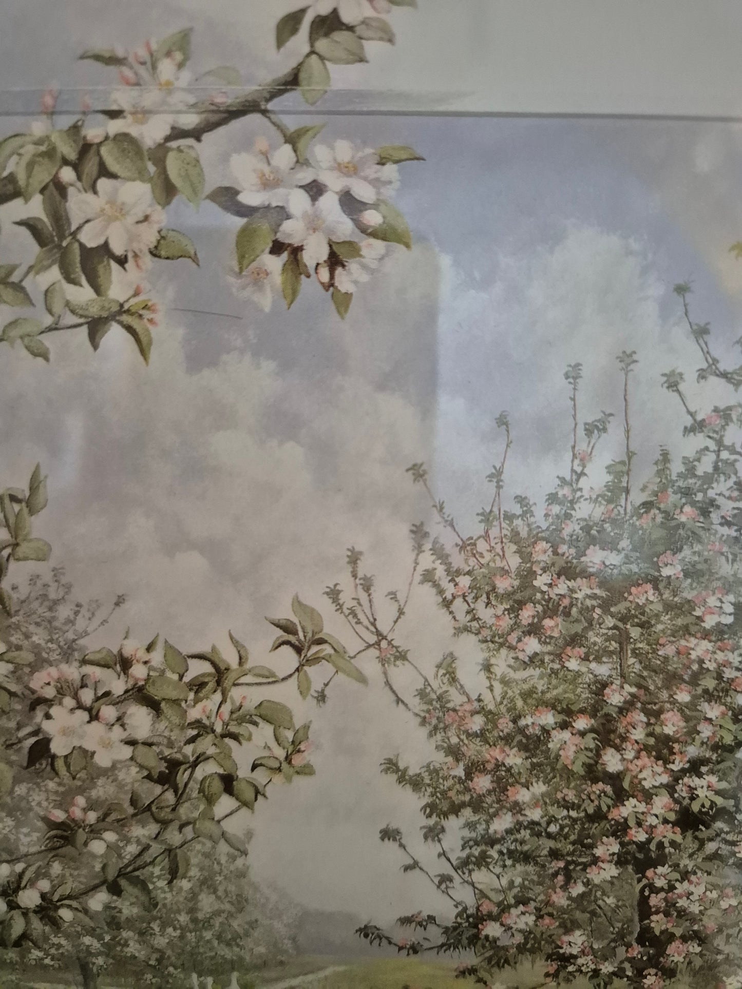 Hochwertiger Kunstdruck Landschaftsidylle Sommerlandschaft