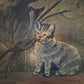 Ölgemälde Katzen Portrait Handsigniert K. Hoppmann (XIX-XX) 38x48cm