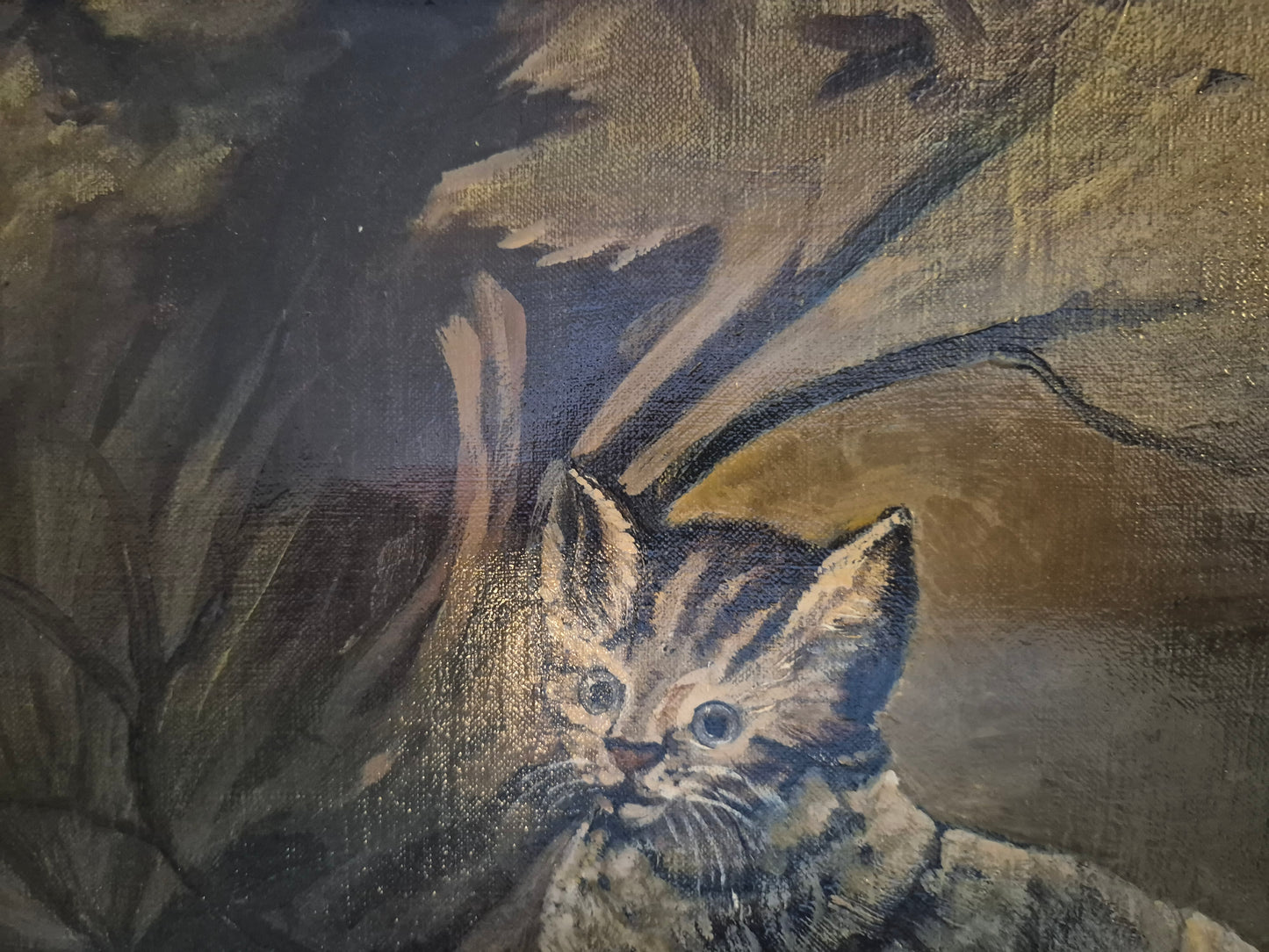 Ölgemälde Katzen Portrait Handsigniert K. Hoppmann (XIX-XX) 38x48cm