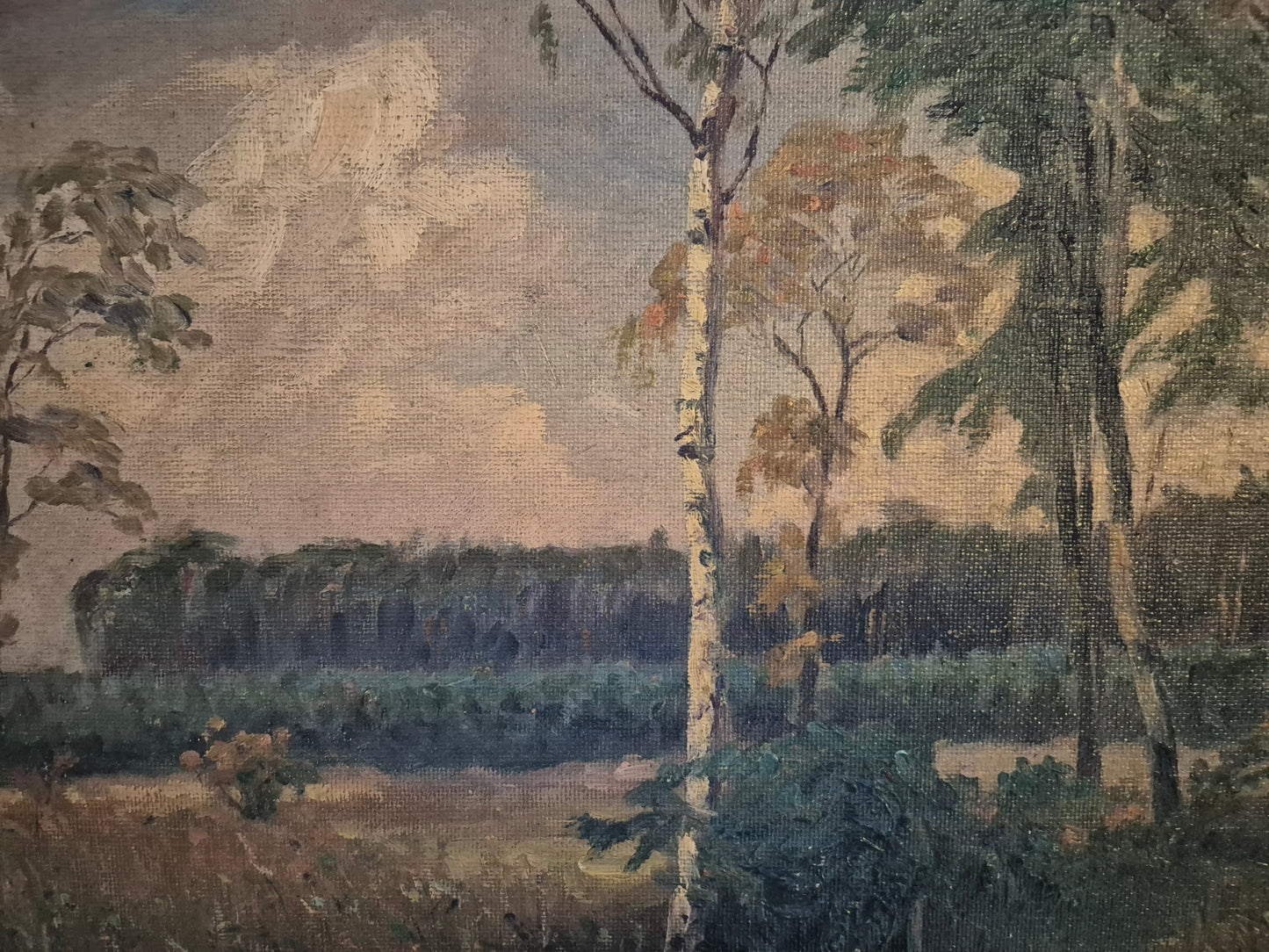 Deutsche Malerschule (XX) Ölgemälde Landschaft mit Wäldern 37x47cm