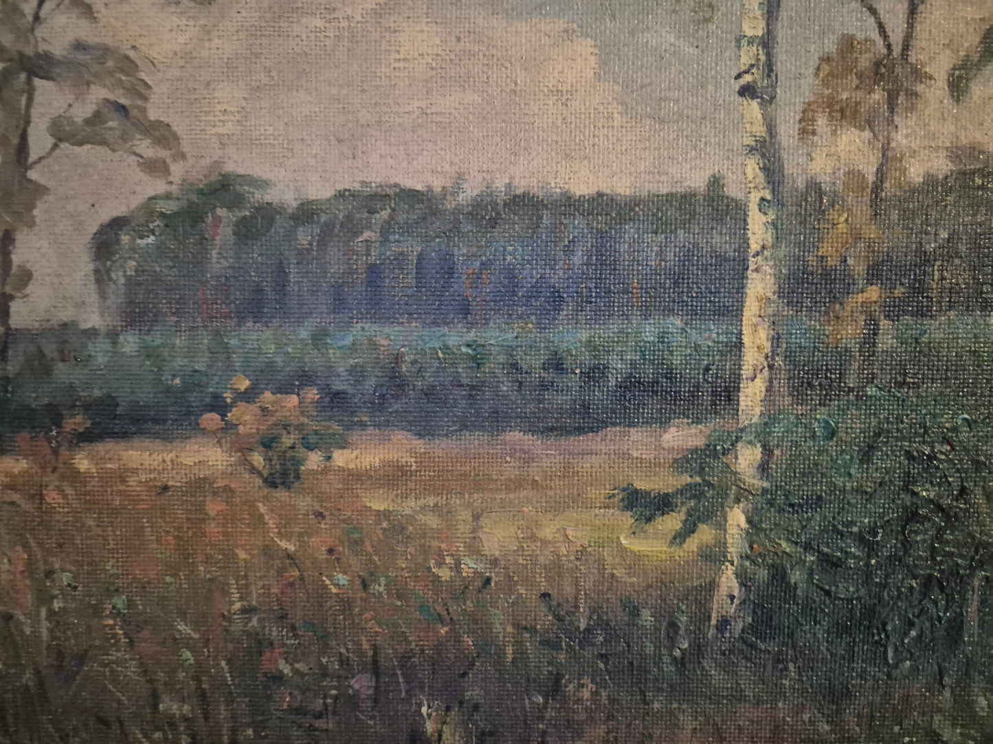 Deutsche Malerschule (XX) Ölgemälde Landschaft mit Wäldern 37x47cm