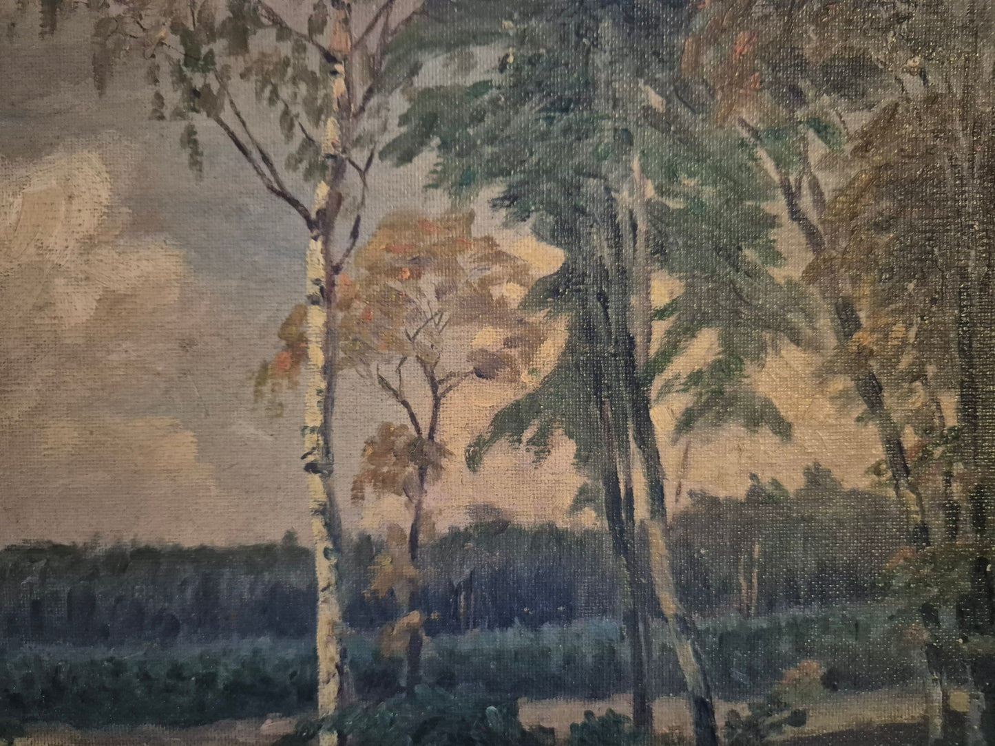 Deutsche Malerschule (XX) Ölgemälde Landschaft mit Wäldern 37x47cm