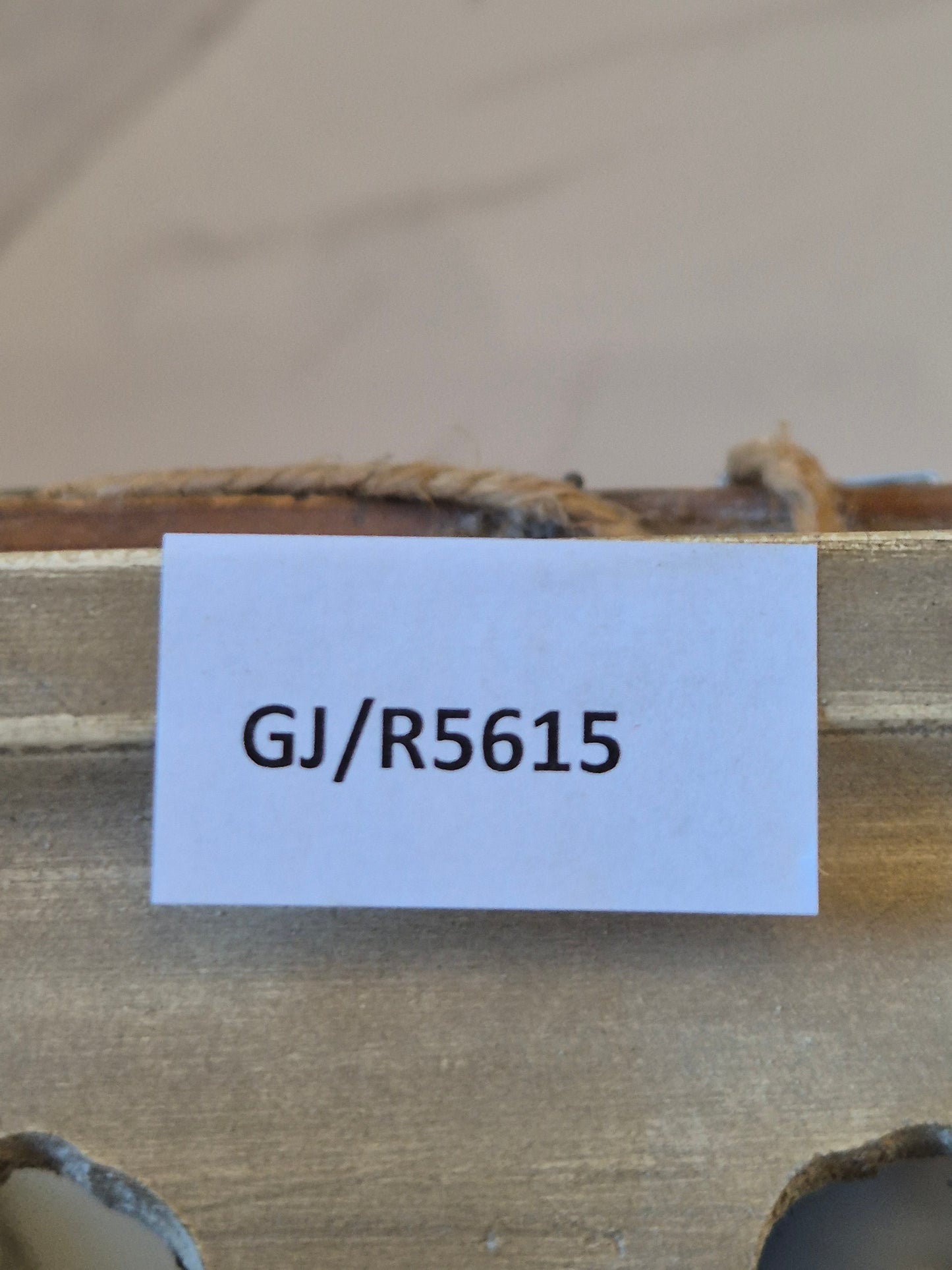 Prof Arthur Müller (XX) Ölgemälde Rokoko Saal mit Ballerina 65x55cm