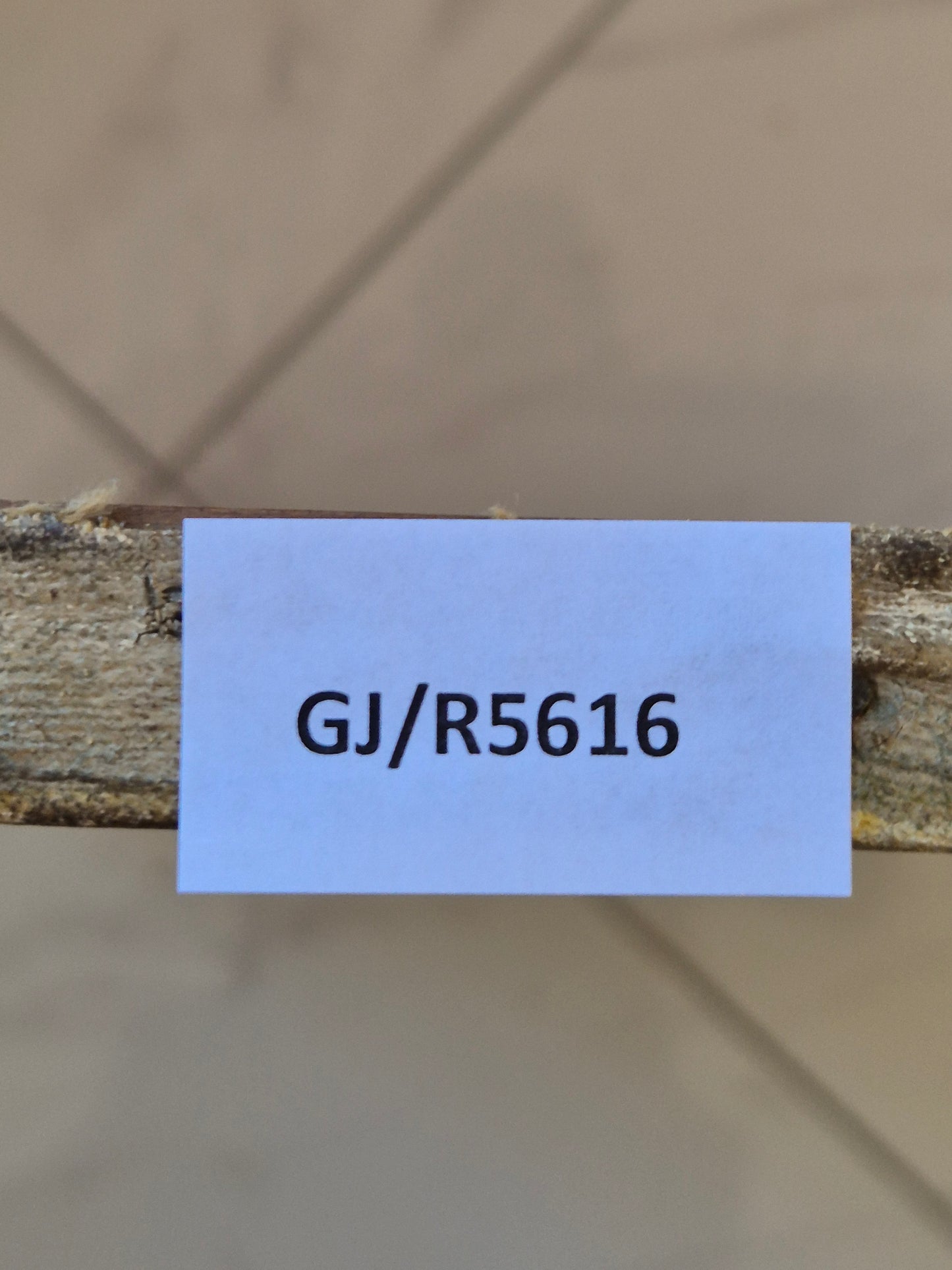 Deutsche Schule (XIX-XX) Ölgemälde Handsigniert Stillleben Moderne 40x60