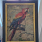 Oskar Frey (1883-1966) Ölgemälde Papagei mit Buntem Gefieder 82x65cm
