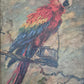 Oskar Frey (1883-1966) Ölgemälde Papagei mit Buntem Gefieder 82x65cm