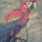 Oskar Frey (1883-1966) Ölgemälde Papagei mit Buntem Gefieder 82x65cm