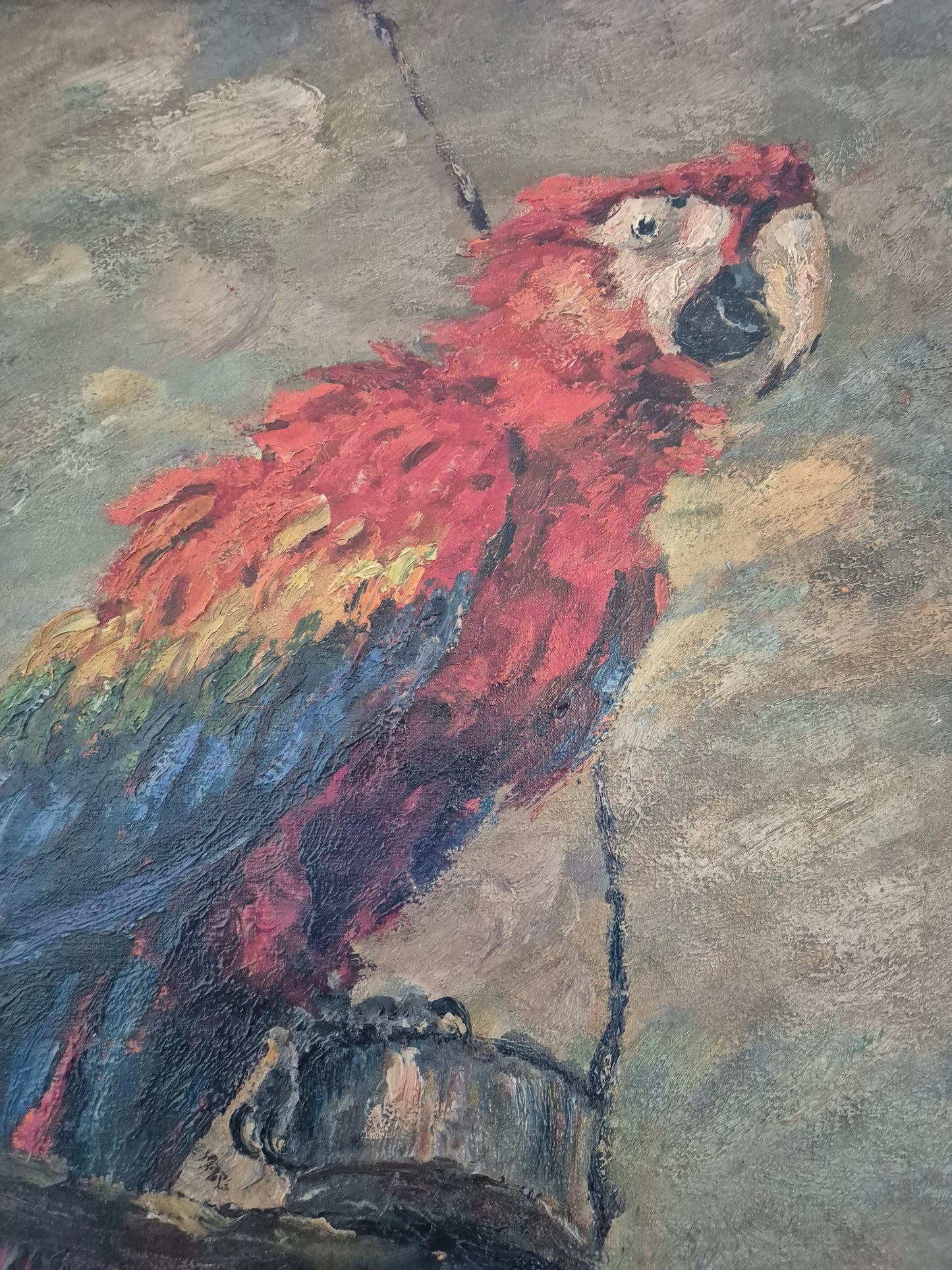 Oskar Frey (1883-1966) Ölgemälde Papagei mit Buntem Gefieder 82x65cm