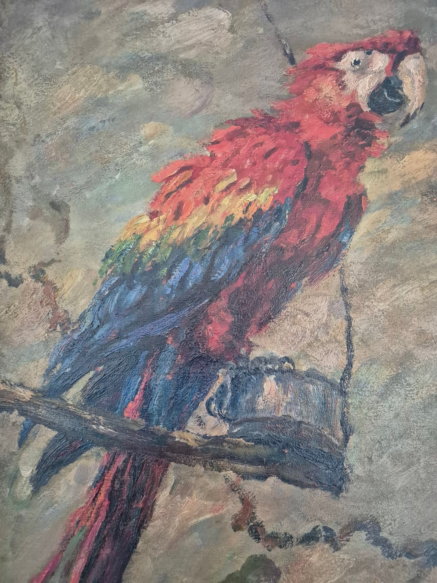 Oskar Frey (1883-1966) Ölgemälde Papagei mit Buntem Gefieder 82x65cm