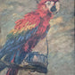Oskar Frey (1883-1966) Ölgemälde Papagei mit Buntem Gefieder 82x65cm