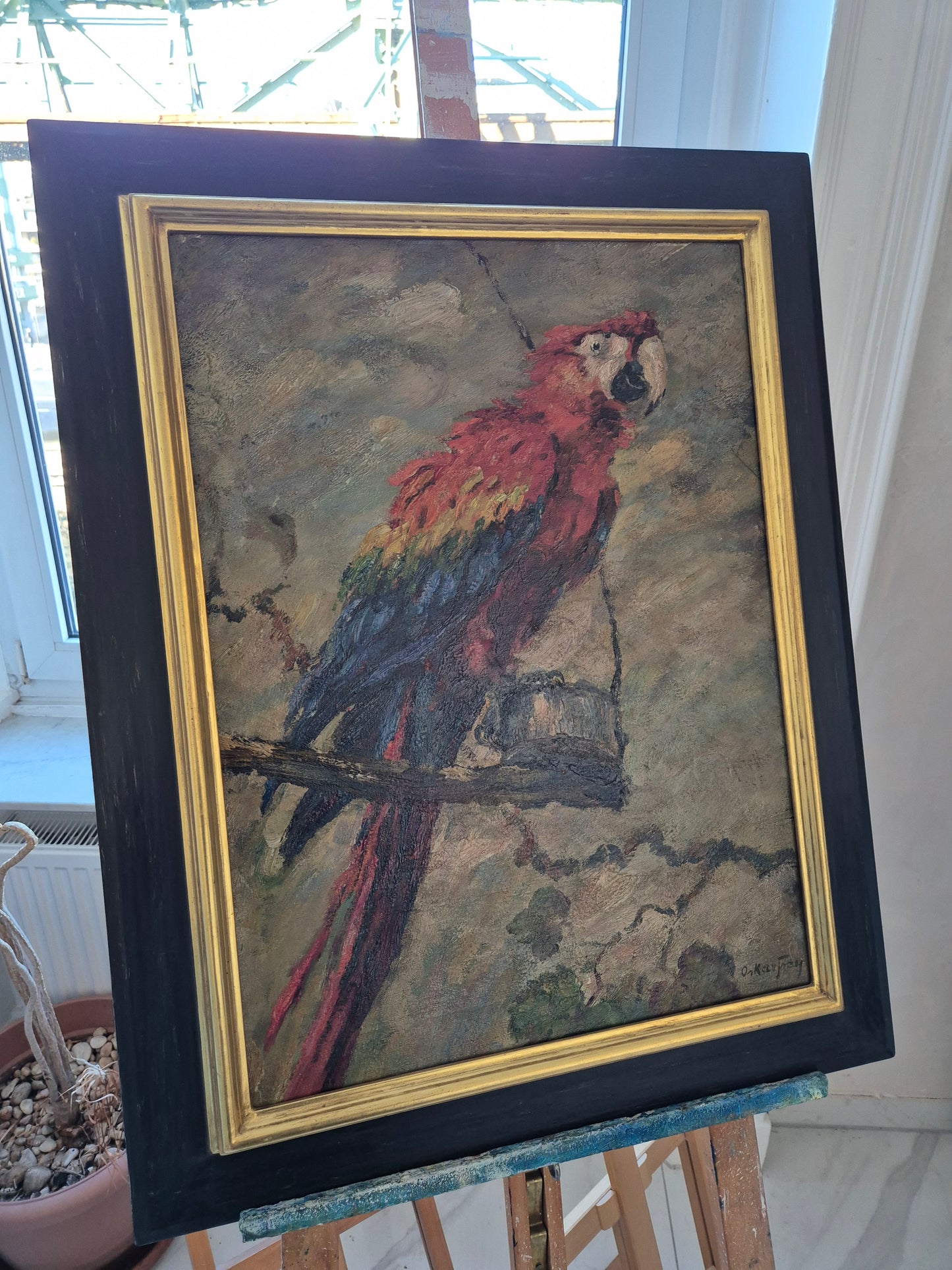 Oskar Frey (1883-1966) Ölgemälde Papagei mit Buntem Gefieder 82x65cm