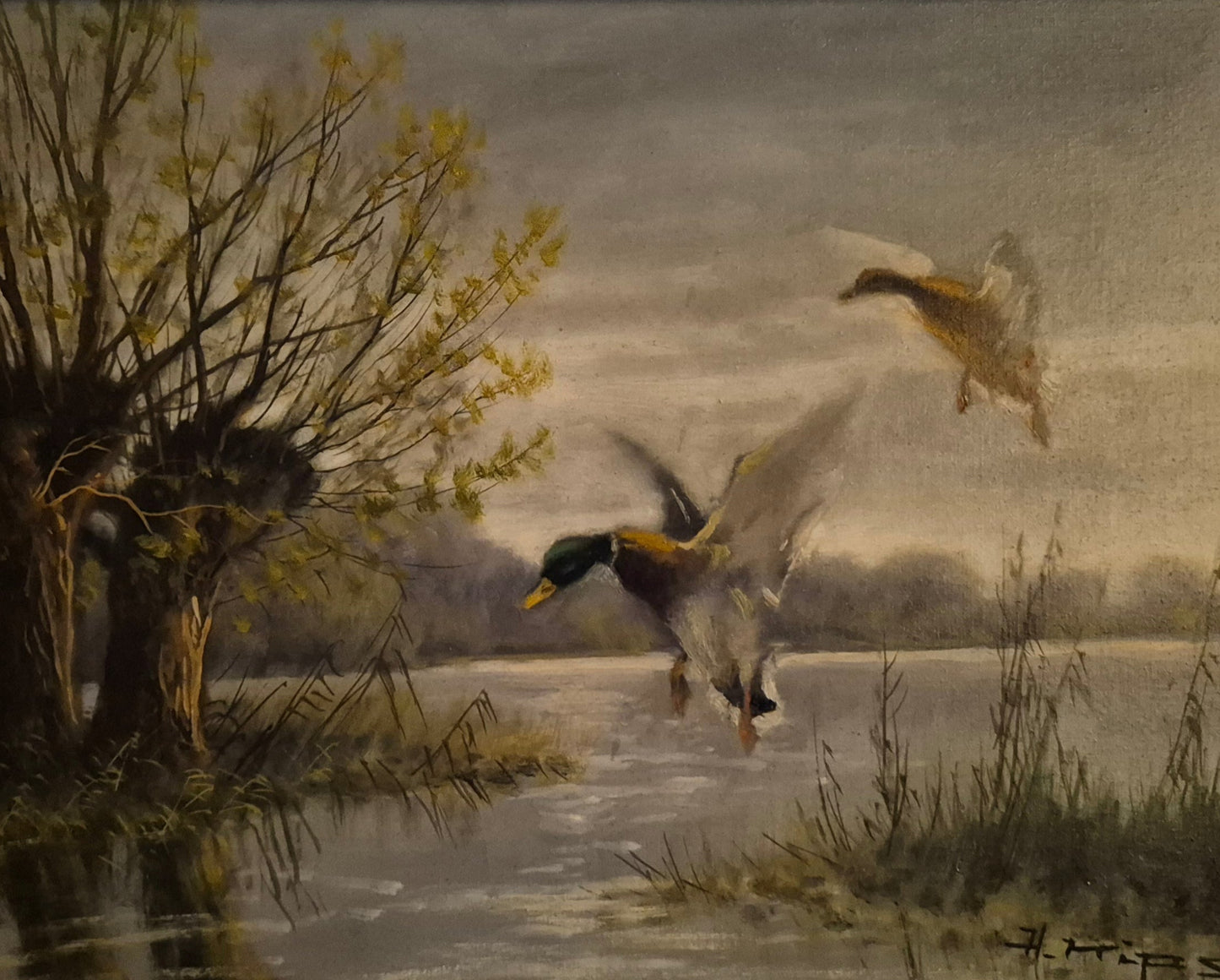 Helmut Kips (geb. 1937) Ölgemälde zwei Enten im Landeanflug auf einen See