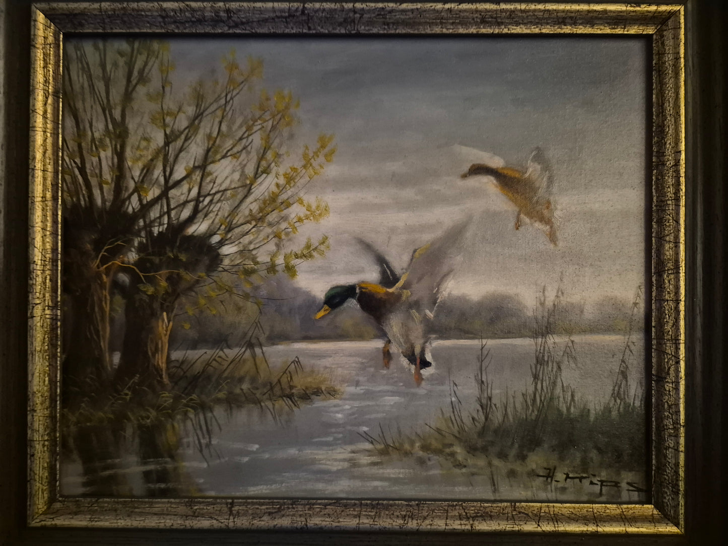 Helmut Kips (geb. 1937) Ölgemälde zwei Enten im Landeanflug auf einen See