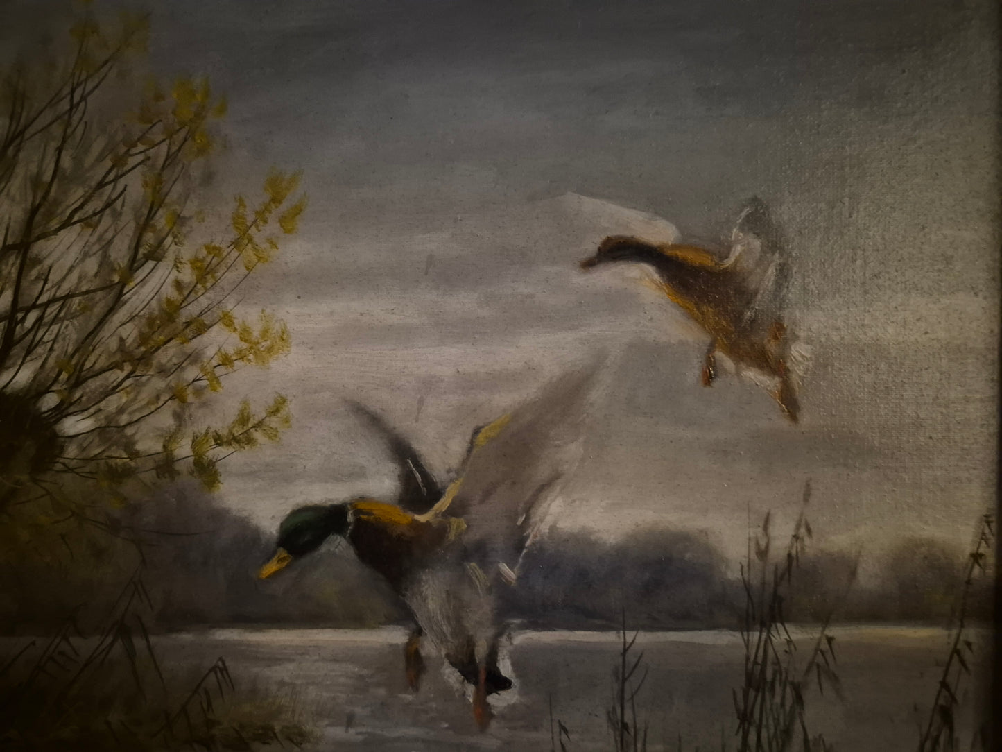 Helmut Kips (geb. 1937) Ölgemälde zwei Enten im Landeanflug auf einen See