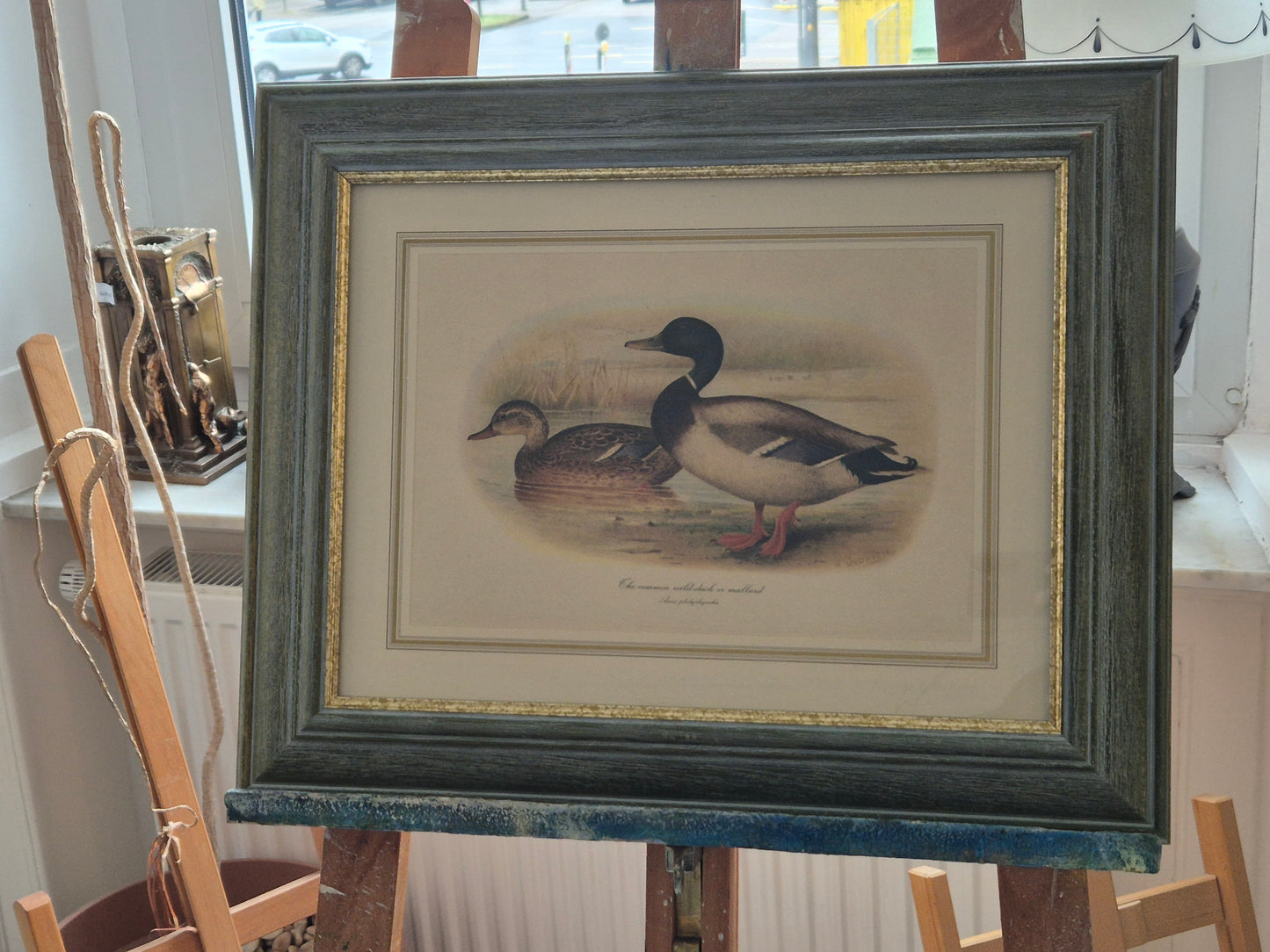 Entenpaar Vintage Grafik Lithographie 1980er Jahre Gerahmt hinter Glas