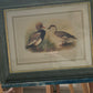 Entenpaar Vintage Grafik Lithographie 1980er Gerahmt hinter Glas