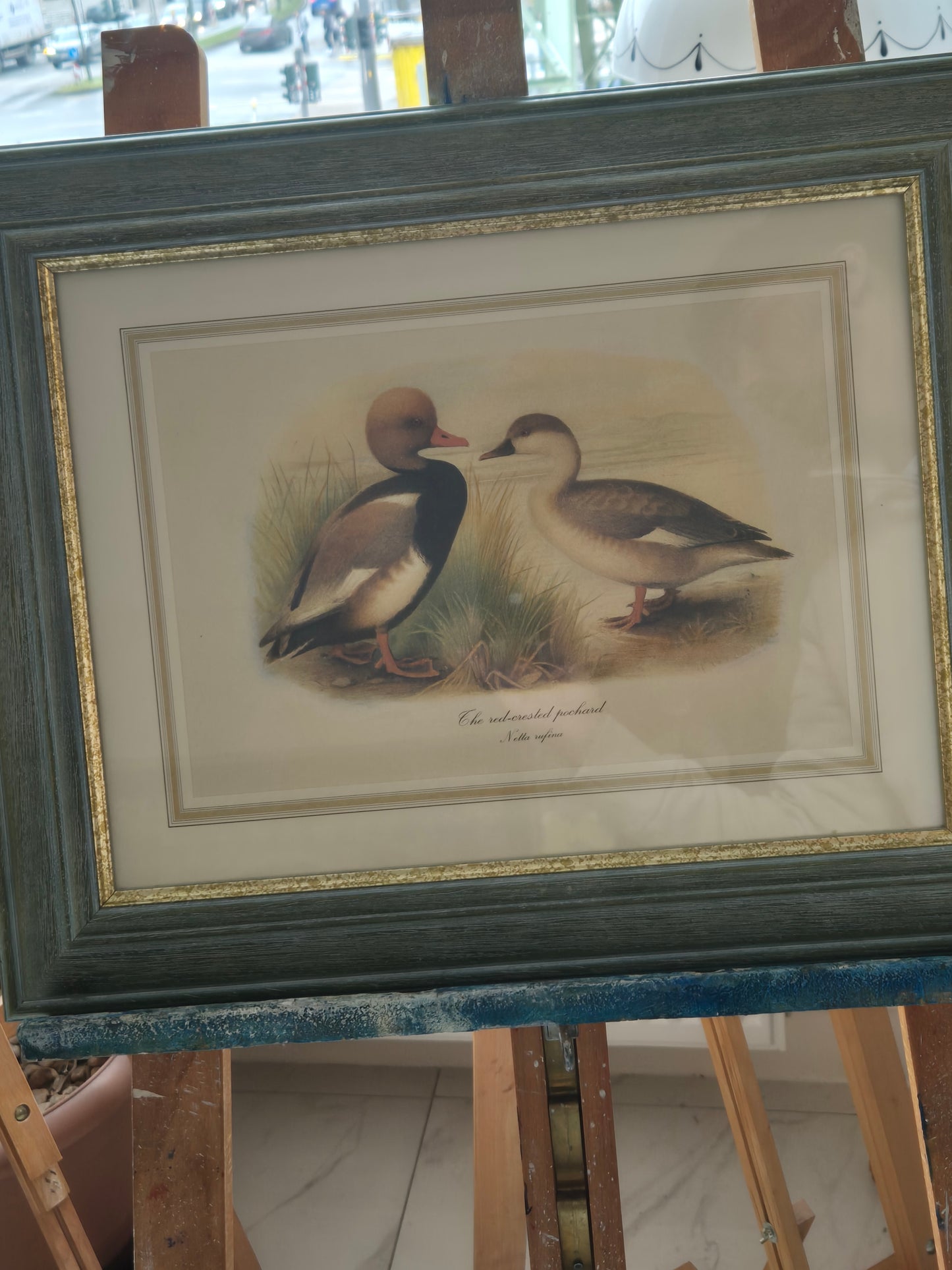 Entenpaar Vintage Grafik Lithographie 1980er Gerahmt hinter Glas