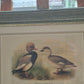 Entenpaar Vintage Grafik Lithographie 1980er Gerahmt hinter Glas