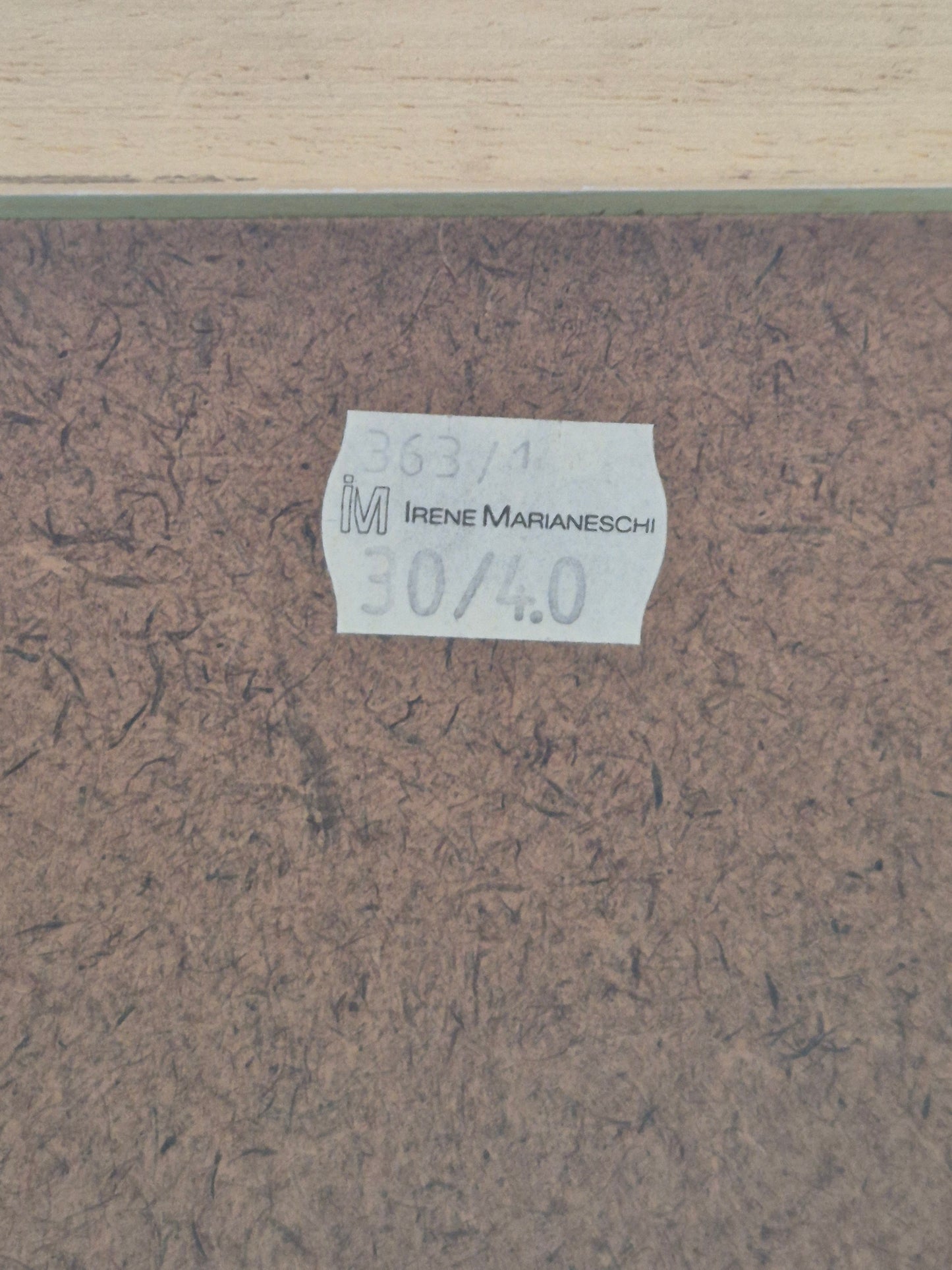 Entenpaar Vintage Grafik Lithographie 1980er Gerahmt hinter Glas