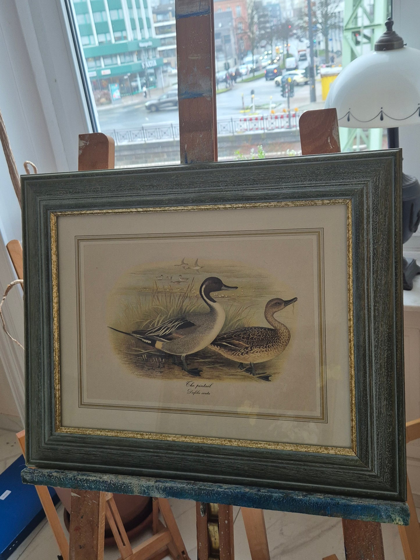 Entenpaar Vintage Grafik Lithographie 1980er Gerahmt hinter Glas