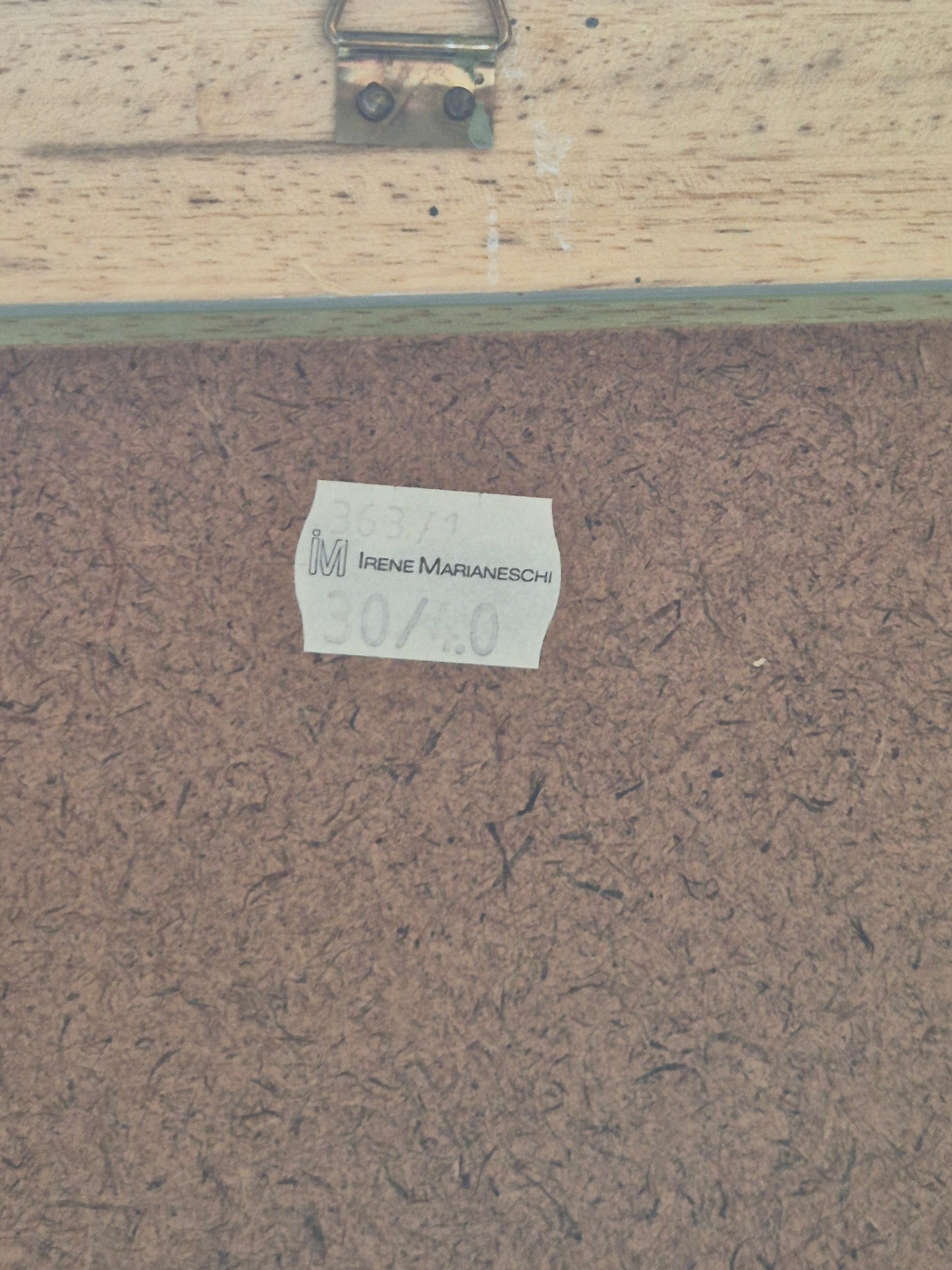 Entenpaar Vintage Grafik Lithographie 1980er Gerahmt hinter Glas