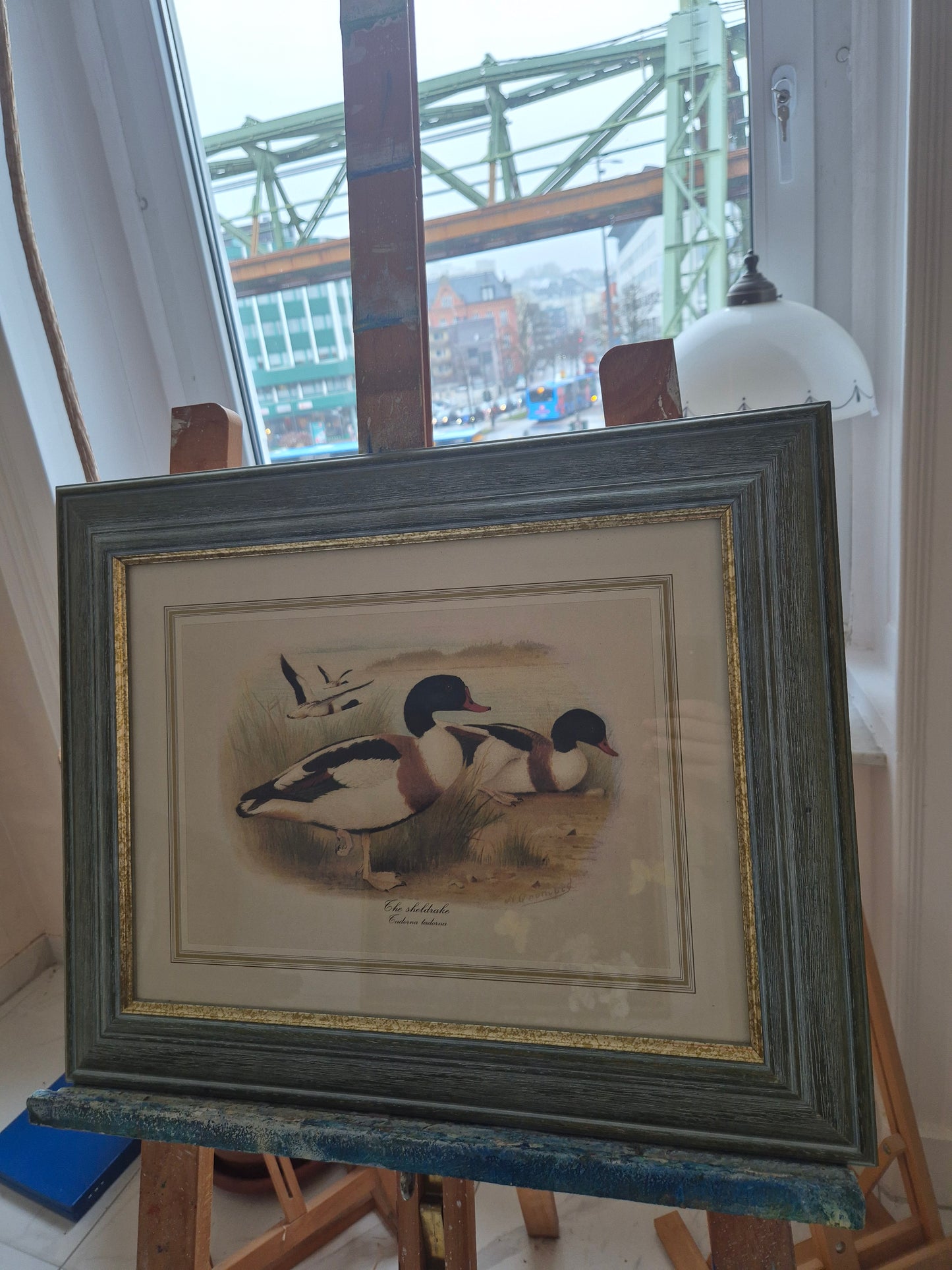 Entenpaar Vintage Grafik Lithographie 1980er Gerahmt hinter Glas