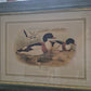 Entenpaar Vintage Grafik Lithographie 1980er Gerahmt hinter Glas
