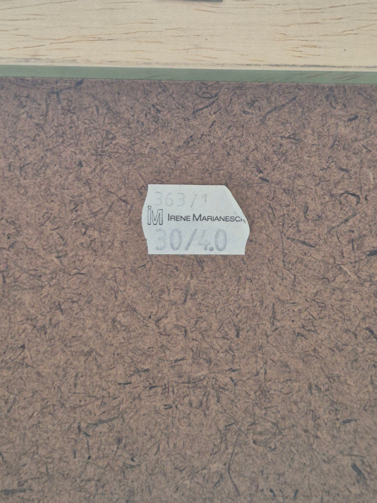 Entenpaar Vintage Grafik Lithographie 1980er Gerahmt hinter Glas