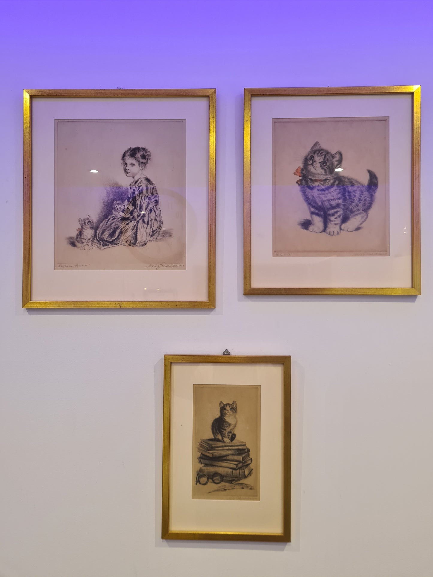 Katzenmütterchen Original Radierung 3er Set Malerei signiert 40x30cm