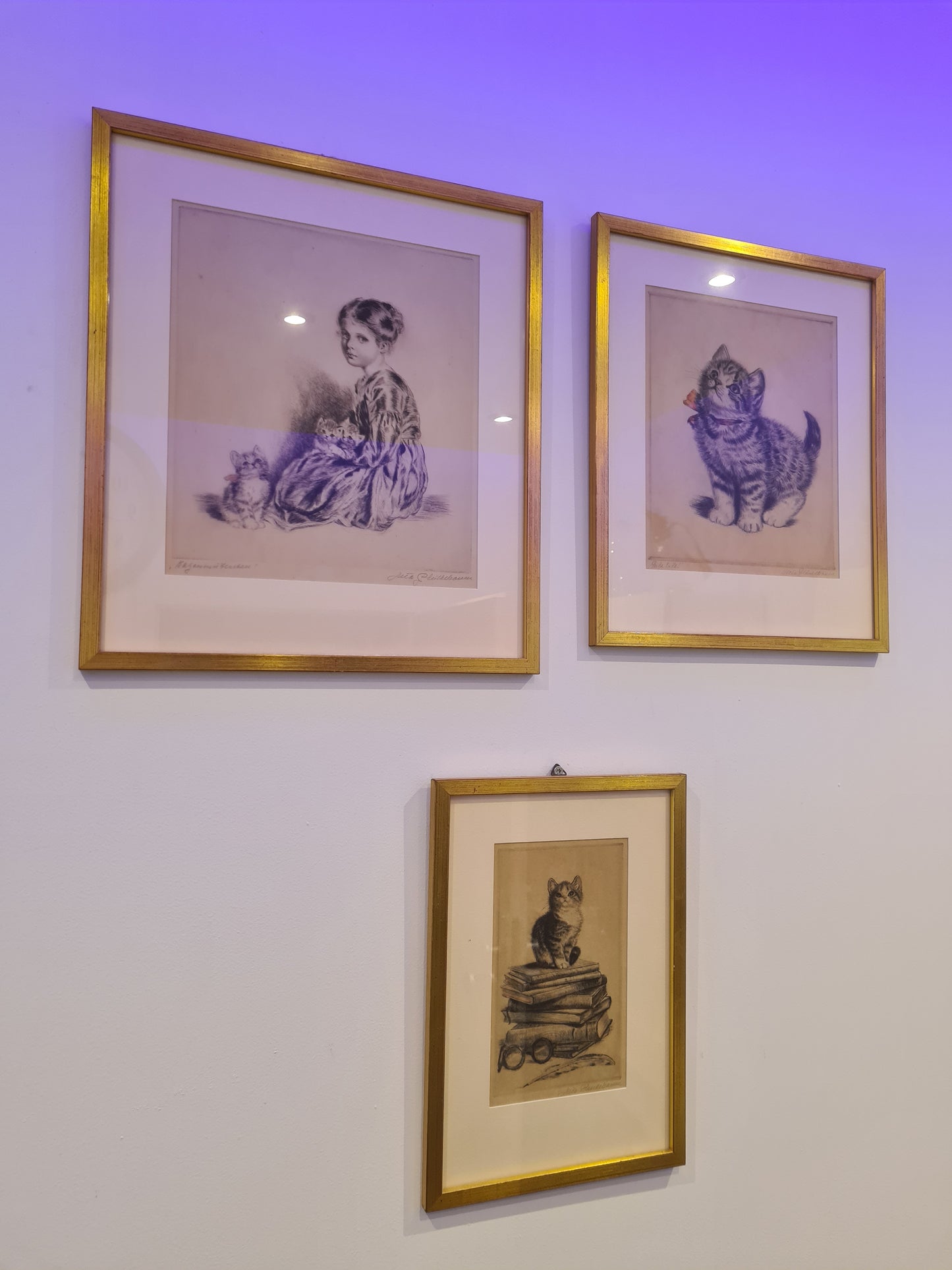 Katzenmütterchen Original Radierung 3er Set Malerei signiert 40x30cm