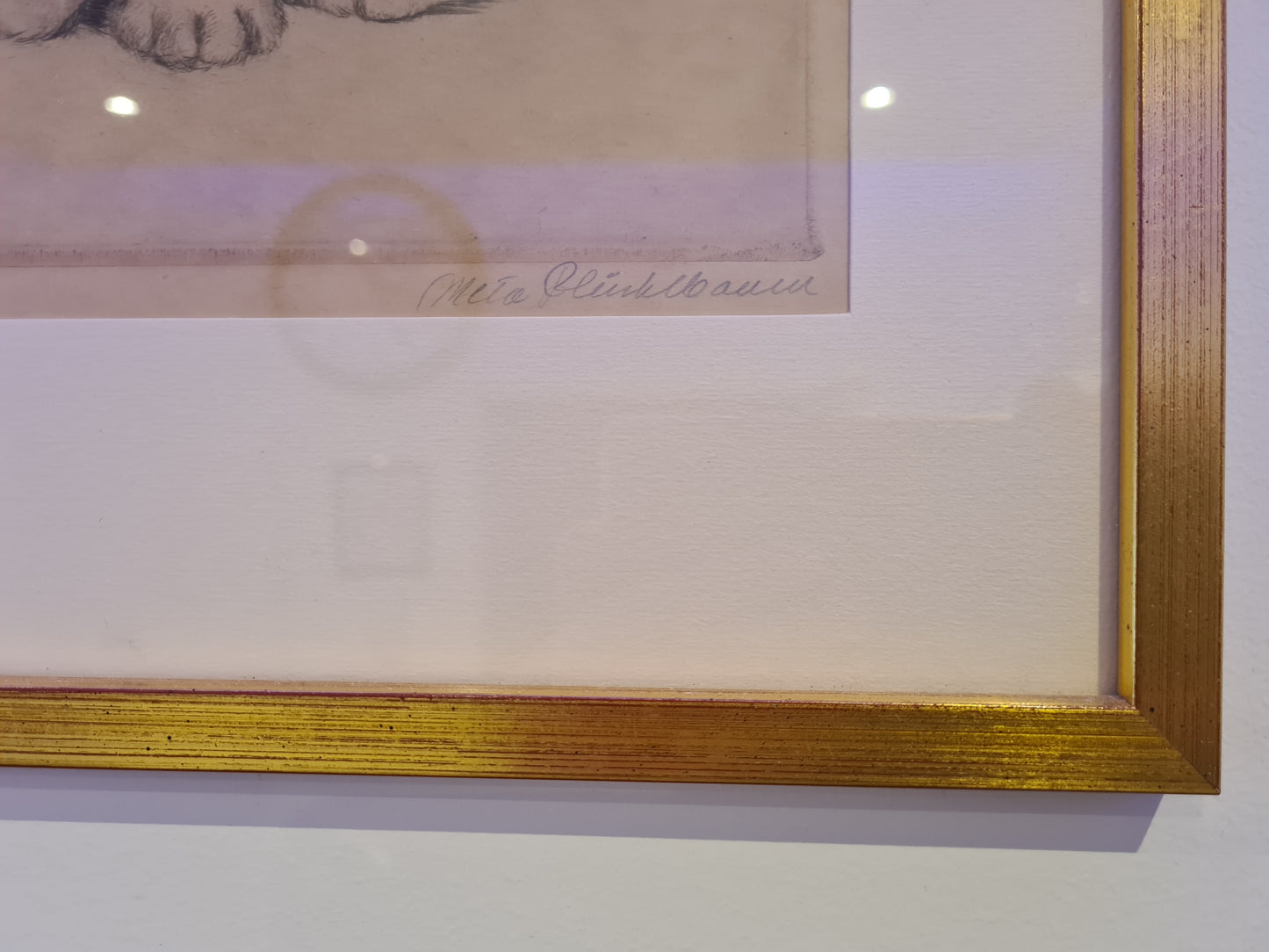 Katzenmütterchen Original Radierung 3er Set Malerei signiert 40x30cm