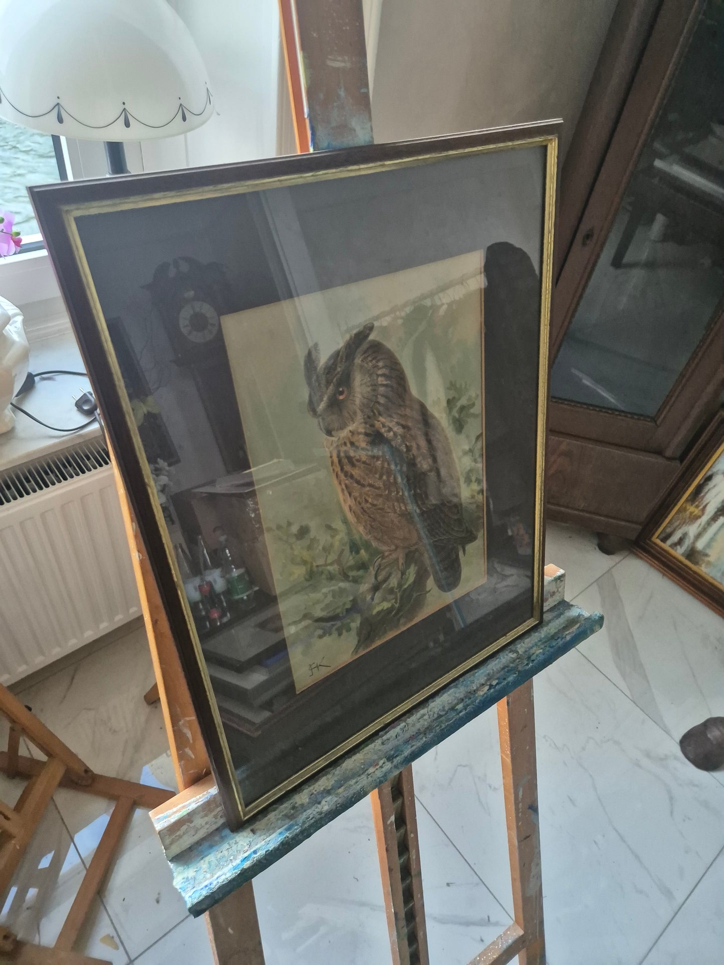 John Gerrard Keulemans (1842-1912) Grafik Eule Gerahmt hinter Glas