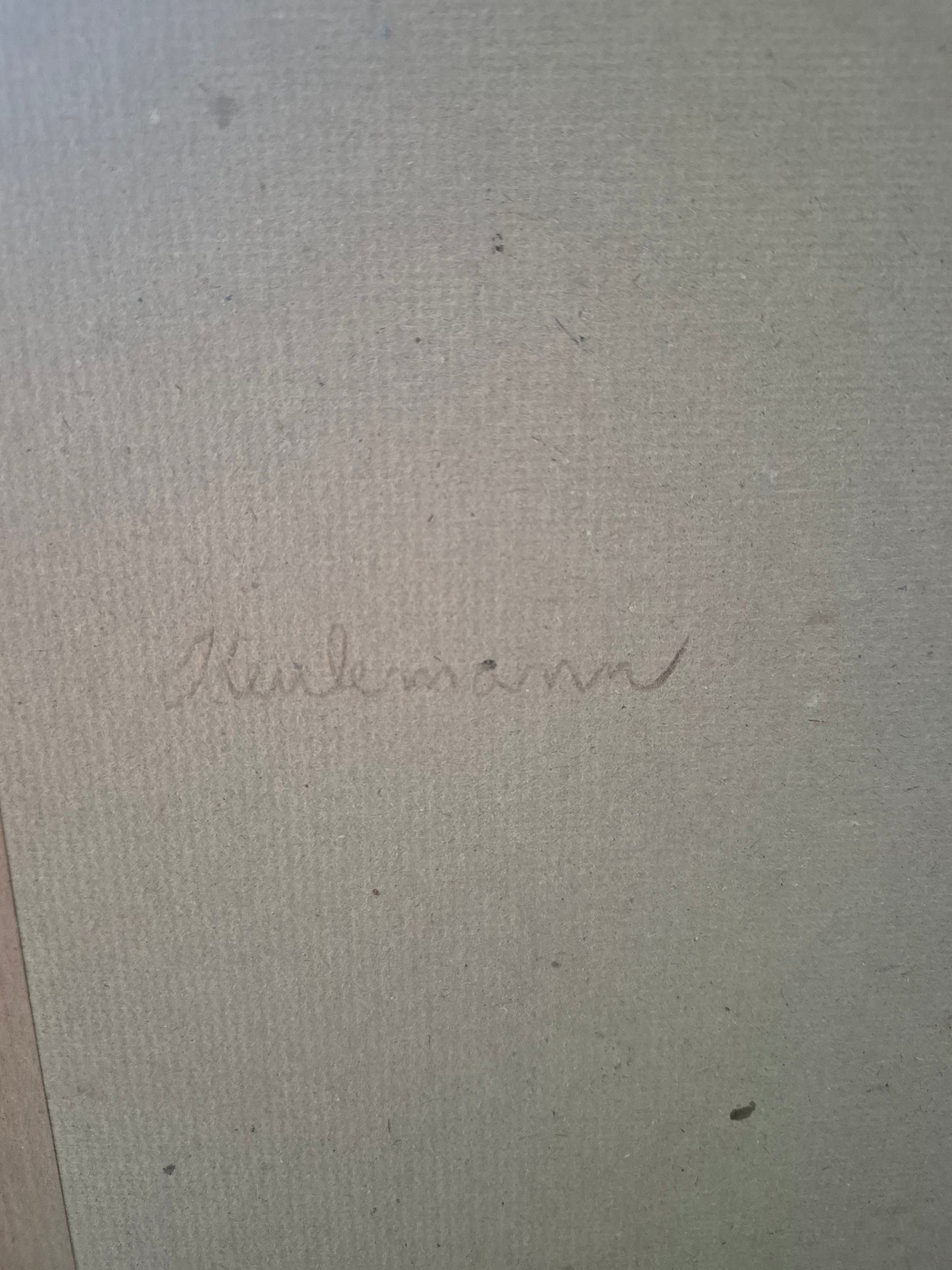 John Gerrard Keulemans (1842-1912) Grafik Eule Gerahmt hinter Glas