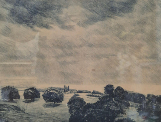 Handsignierte Lithographie Grafik Schwarzwald Landschaft 42x52cm