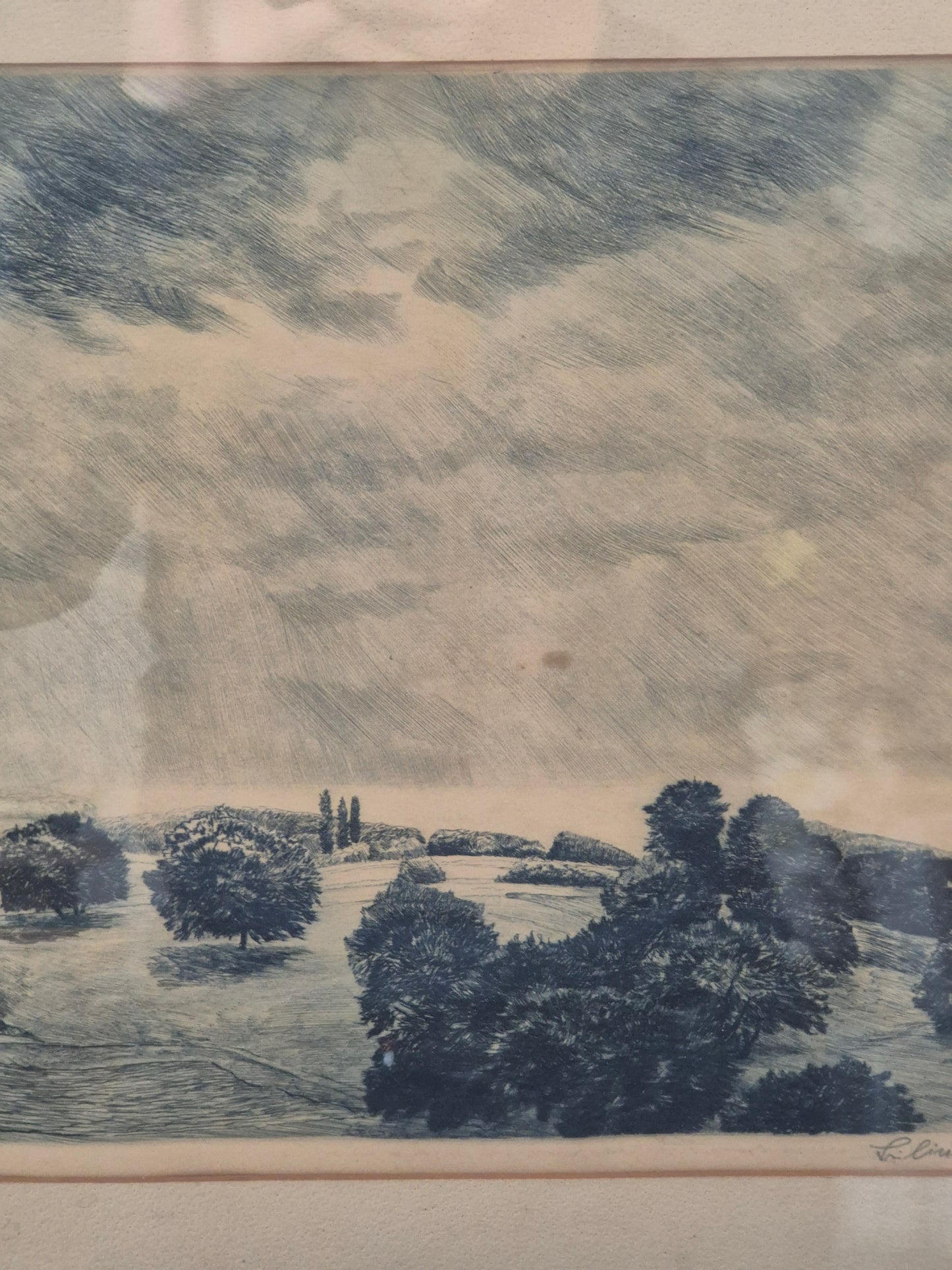 Handsignierte Lithographie Grafik Schwarzwald Landschaft 42x52cm