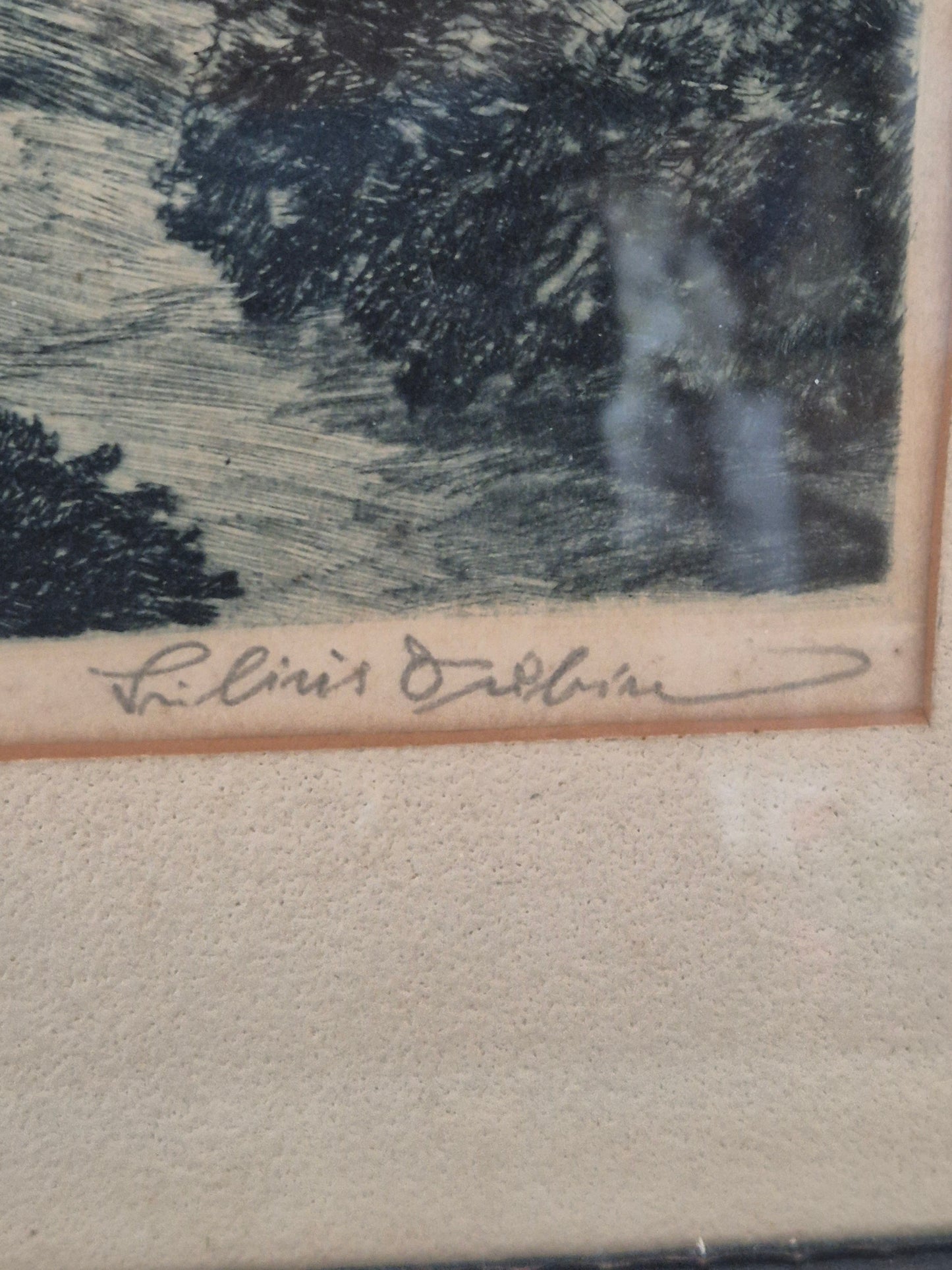 Handsignierte Lithographie Grafik Schwarzwald Landschaft 42x52cm