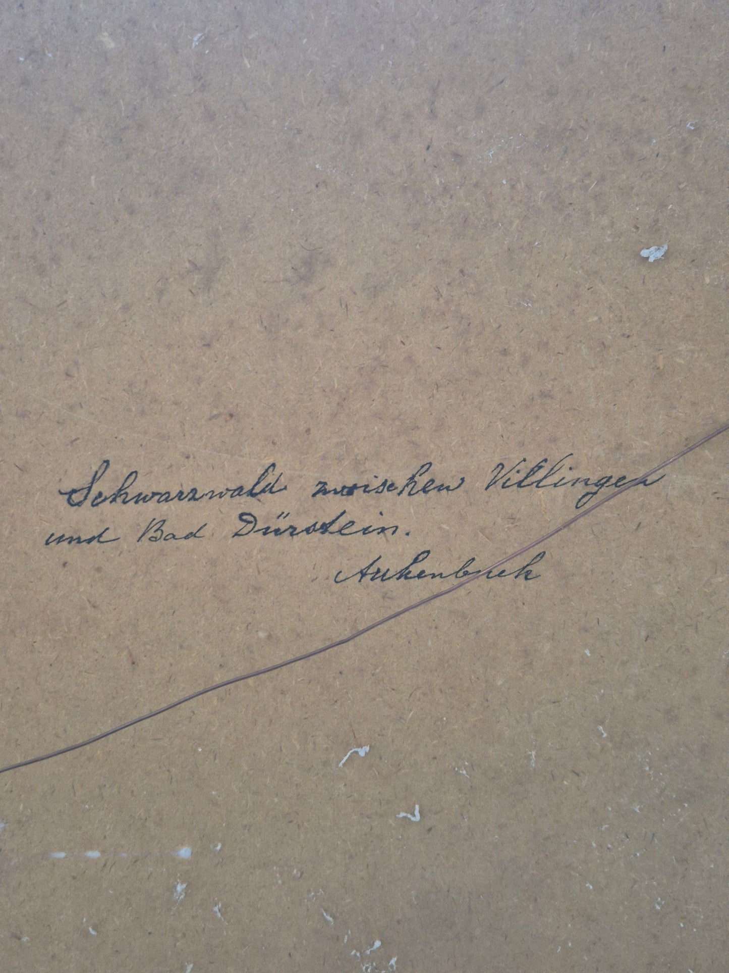 Handsignierte Lithographie Grafik Schwarzwald Landschaft 42x52cm