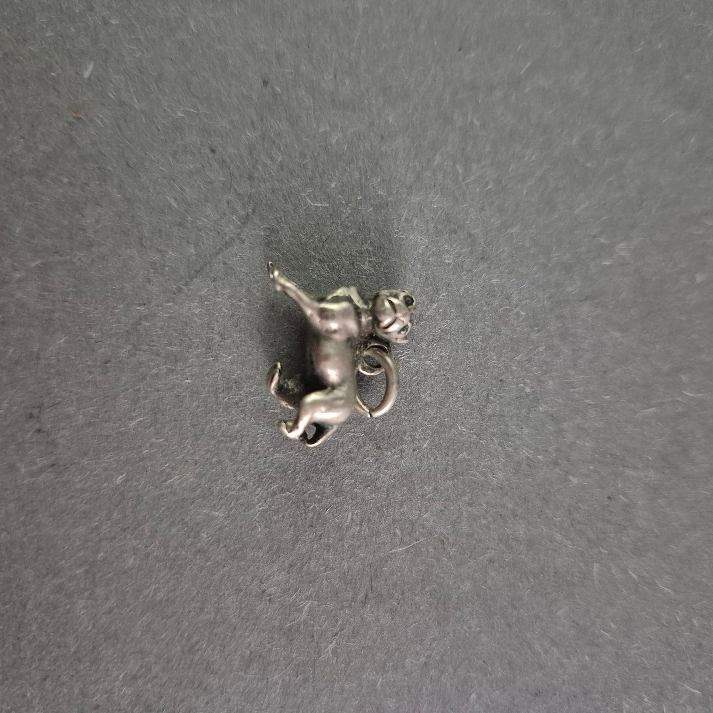 Niedlicher Silberanhänger Hund – Detailreiche Darstellung für Hundefreunde