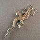 Glitzernde Gecko-Brosche mit Strasssteinen – Einzigartiger Hingucker
