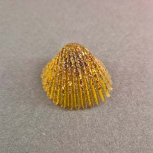 Maritime Muschel-Brosche – Handgefertigt mit Goldschimmer