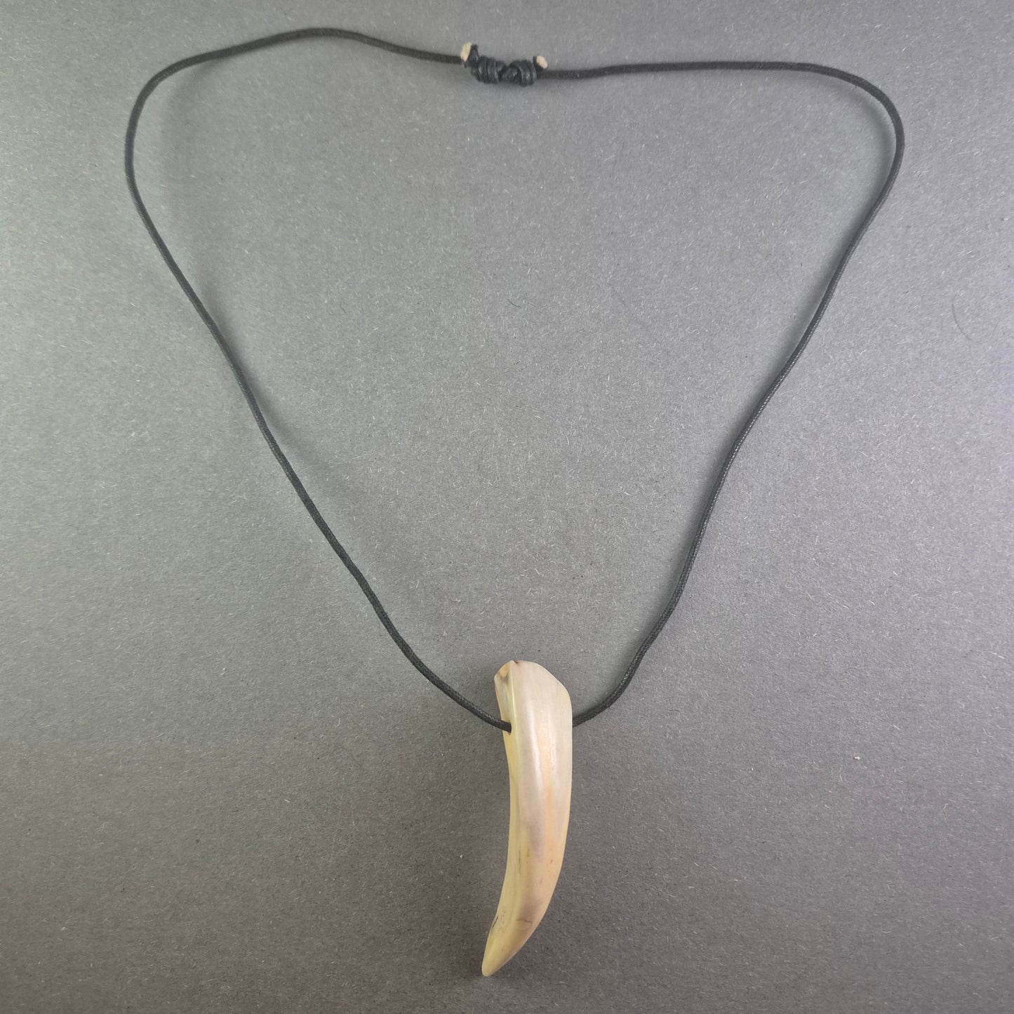 Halskette mit Zahnanhänger Naturinspirierter Look für Individualisten