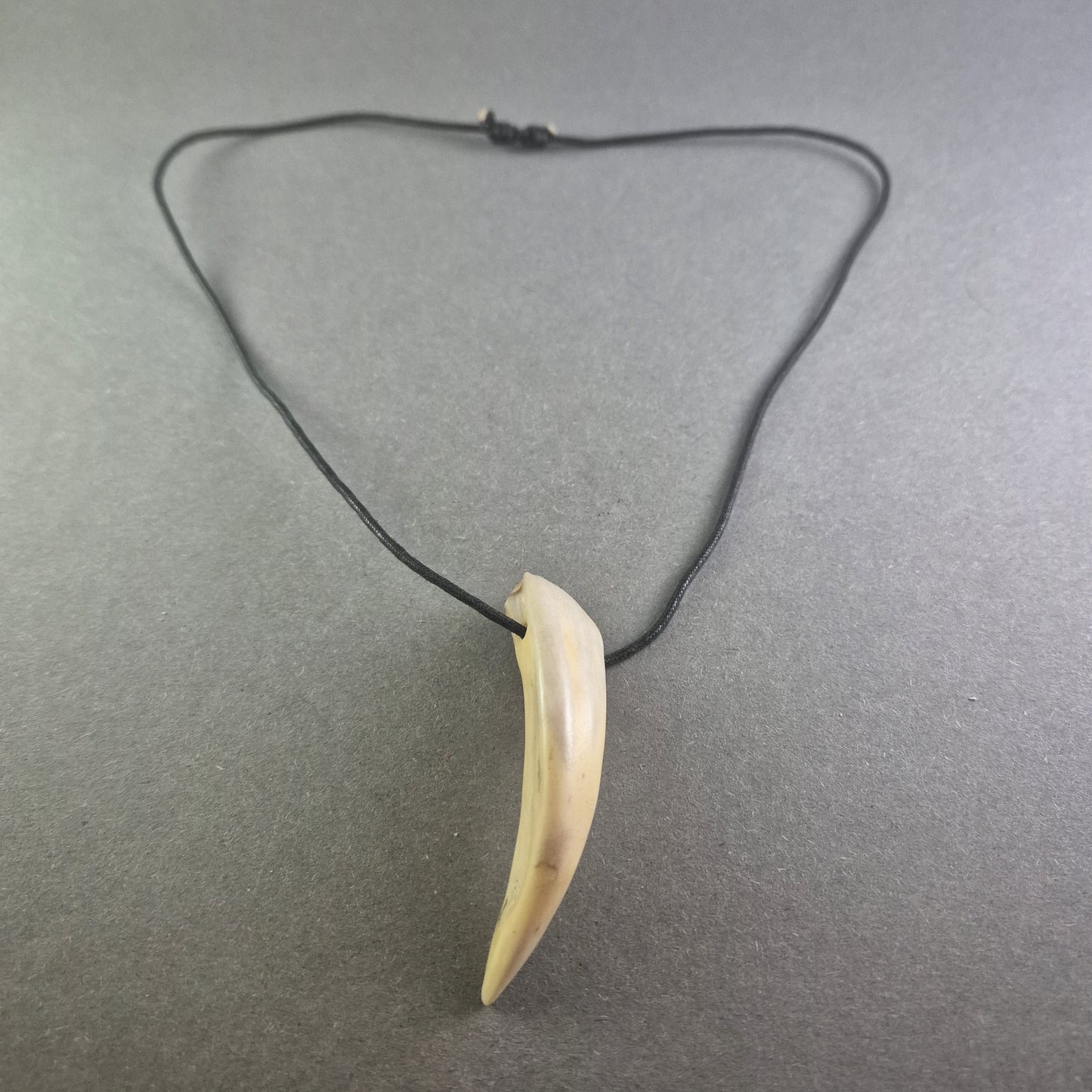 Halskette mit Zahnanhänger Naturinspirierter Look für Individualisten