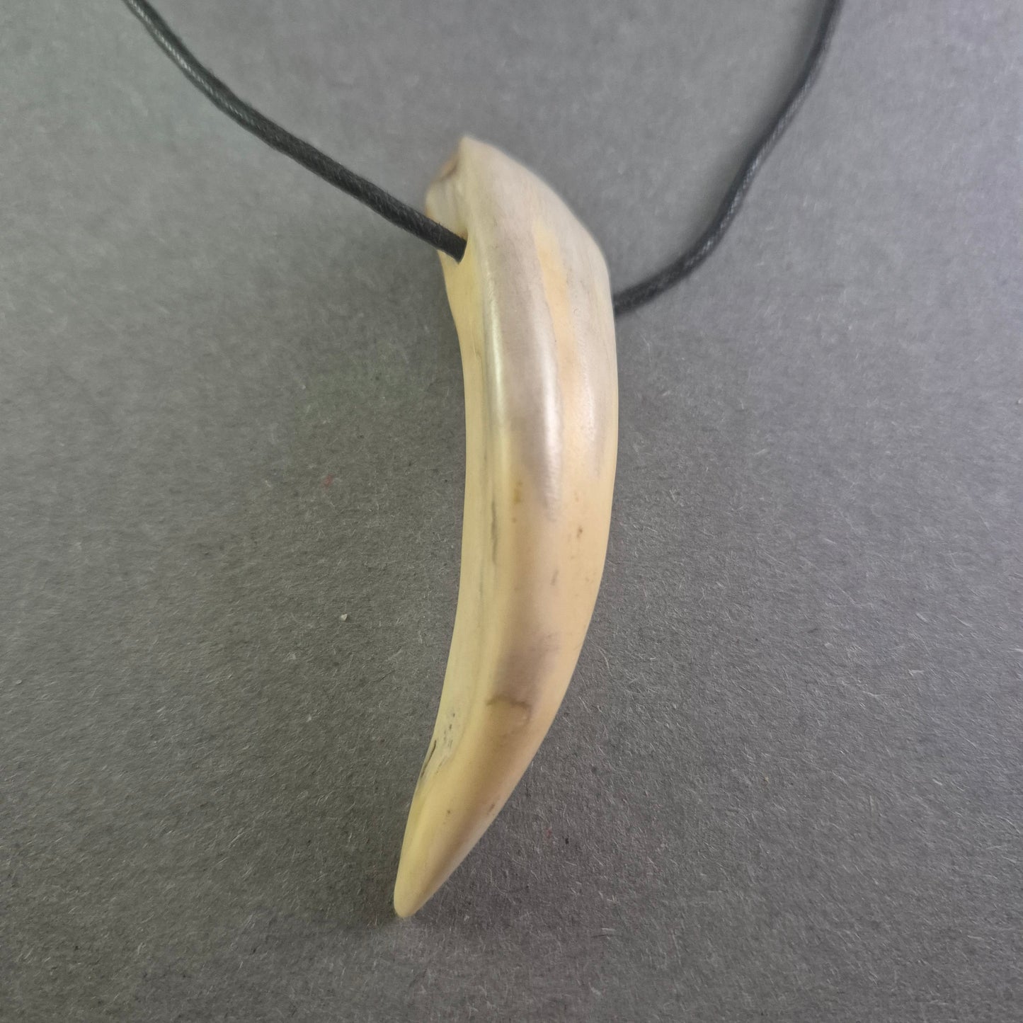 Halskette mit Zahnanhänger Naturinspirierter Look für Individualisten