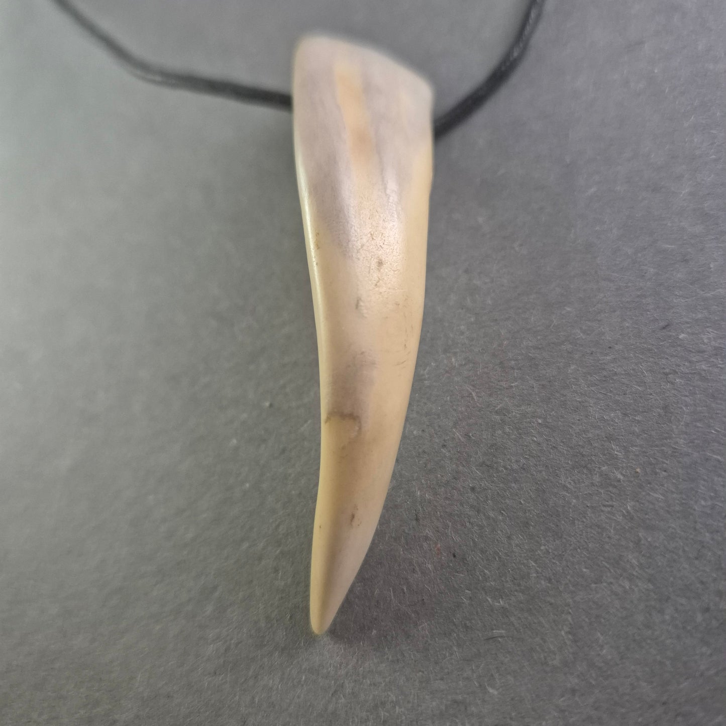 Halskette mit Zahnanhänger Naturinspirierter Look für Individualisten